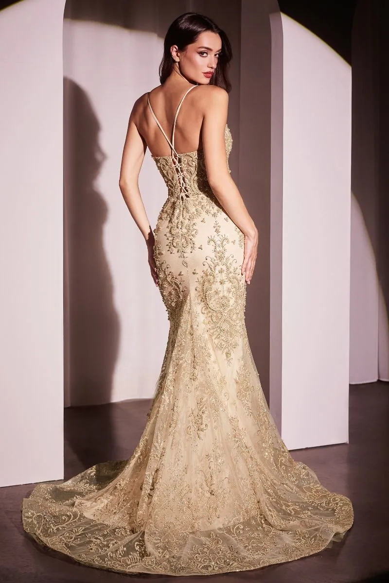 CC2403 PEARL & LACE EMBELLISHED FIT & FLAR GOWN