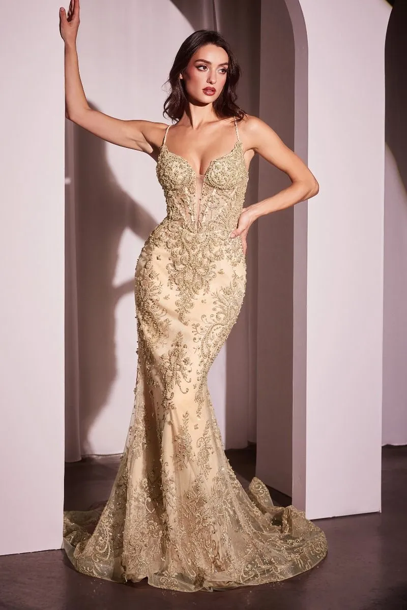 CC2403 PEARL & LACE EMBELLISHED FIT & FLAR GOWN