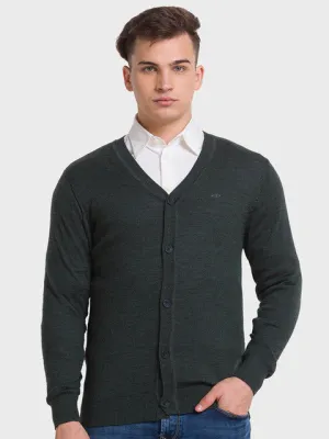Colorplus Men Green Solid Tailored Fit Wool Blend Sweater