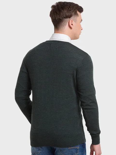Colorplus Men Green Solid Tailored Fit Wool Blend Sweater