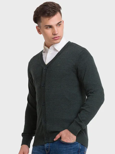 Colorplus Men Green Solid Tailored Fit Wool Blend Sweater
