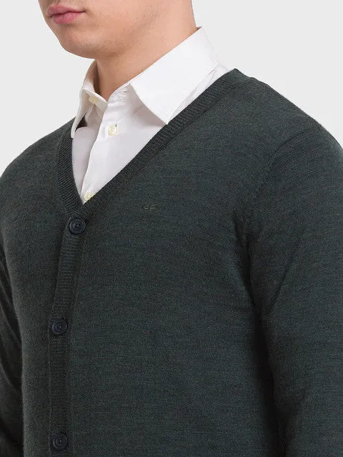 Colorplus Men Green Solid Tailored Fit Wool Blend Sweater