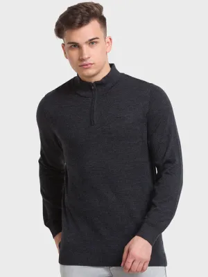 Colorplus Men Grey Solid Tailored Fit Wool Blend Sweater